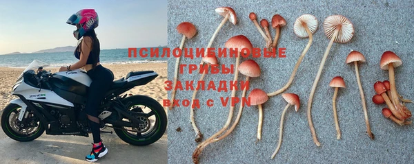 марки nbome Михайлов
