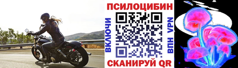 Псилоцибиновые грибы Cubensis  Ейск 