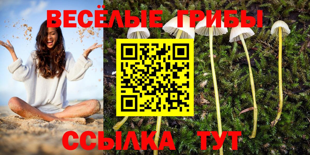 Ейск  ЭКСТАЗИ  МЕФ   Канабис  Вход с VPN  МДМА 