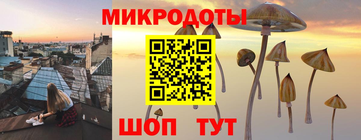 A-PVP Ейск