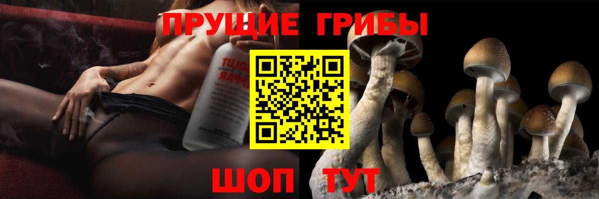 Псилоцибиновые грибы ЛСД Ейск