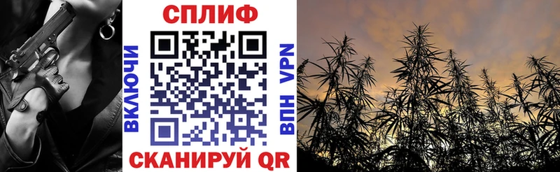 где купить   Ейск  МАРИХУАНА планчик 